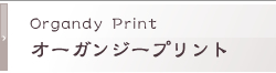 オーガンジープリント